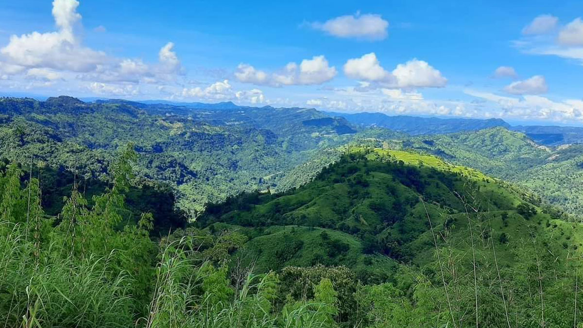 বান্দরবানে সশস্ত্র দুই গ্রুপের মধ্যে গোলাগুলি 