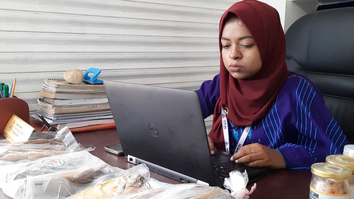 শুঁটকি গুঁড়ায় ‘বাজিমাত’ কলেজ শিক্ষার্থী নাজমার