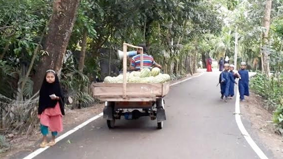 ১০০ টাকায় ২ পিস তরমুজ, তবুও জুটছে না ক্রেতা