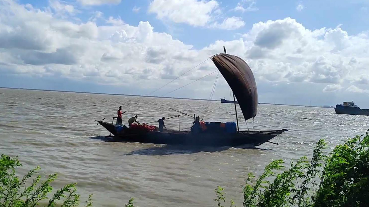 নদীতে বাড়ছে দূষণ, ভরা মৌসুমেও পদ্মায় মিলছে না ইলিশ