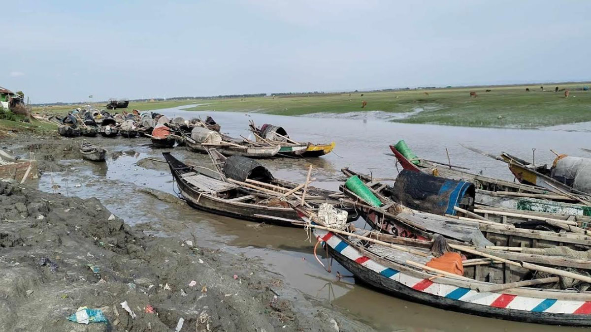 কারেন্ট জালের ব্যবহারে ফেনীতে কমছে মাছের পরিমাণ 