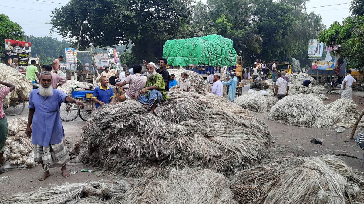 ‘আর পাট চাষ করব না’