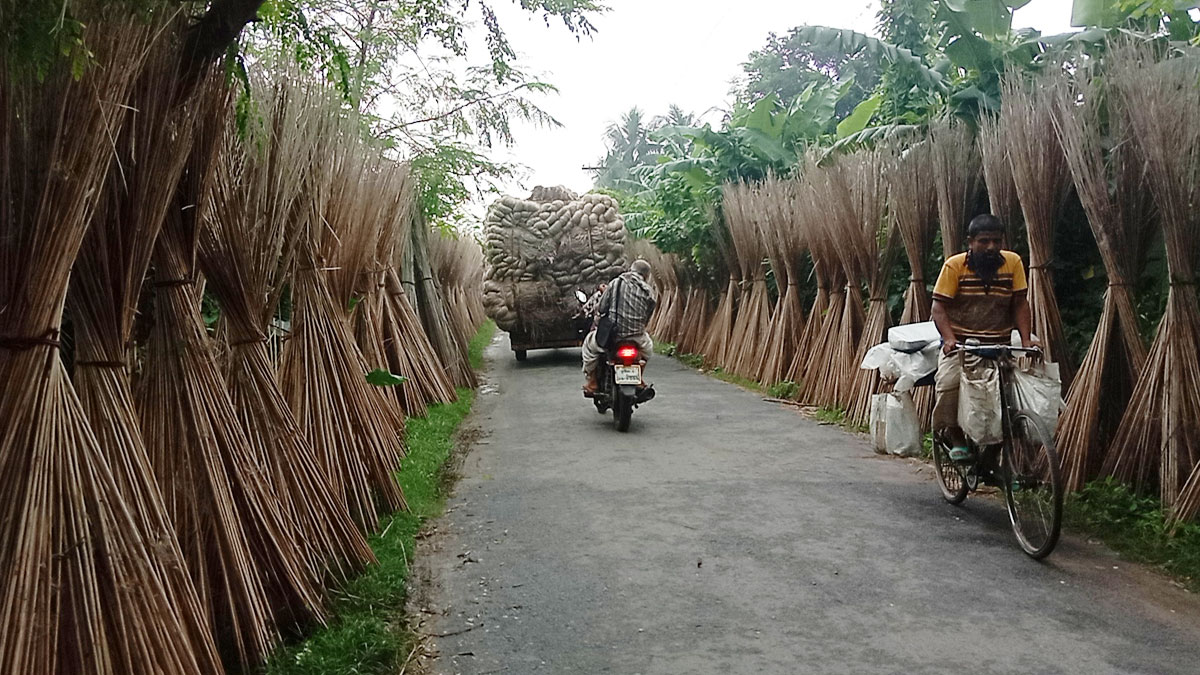 লোকসানে পাট চাষিরা, দাম বাড়ানোর দাবি