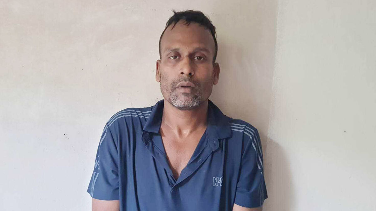 রাস্তা থেকে তুলে নিয়ে নারীকে সংঘবদ্ধ ধর্ষণ, আটক ২