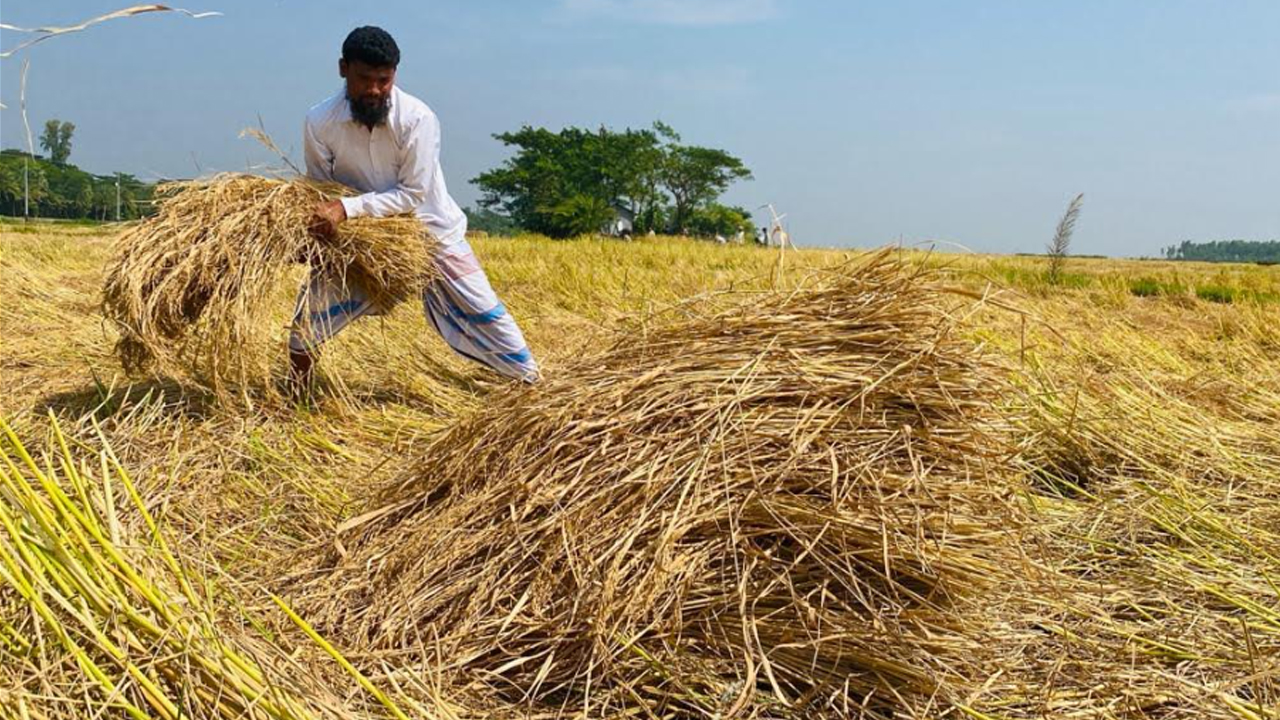 কৃষিকাজ করে মাসে লাখ টাকা আয় আরিফের