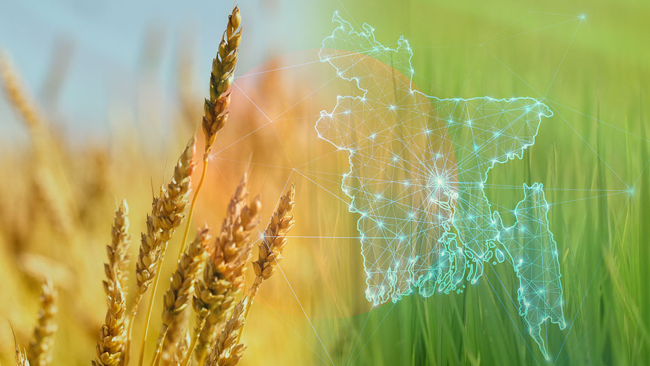 ১৩ বছরে কৃষিতে ভর্তুকি ১ লাখ ২৯ হাজার কোটি টাকা