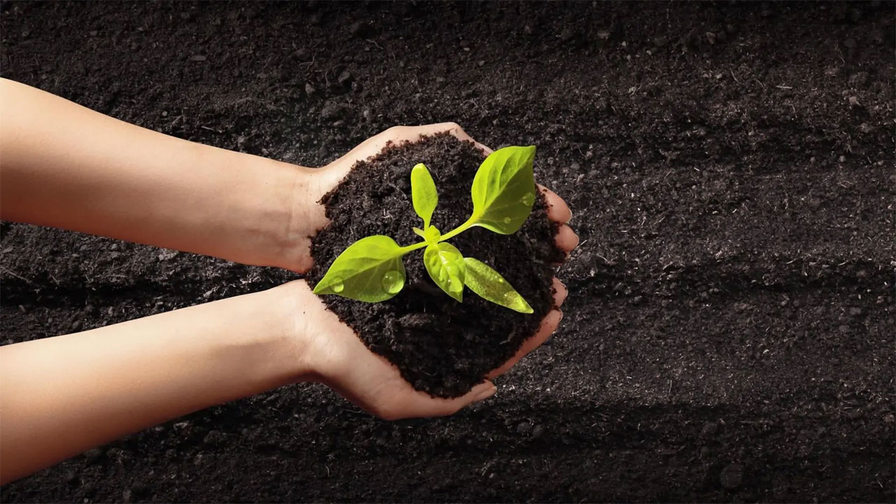 বিশ্ব মৃত্তিকা দিবস আজ