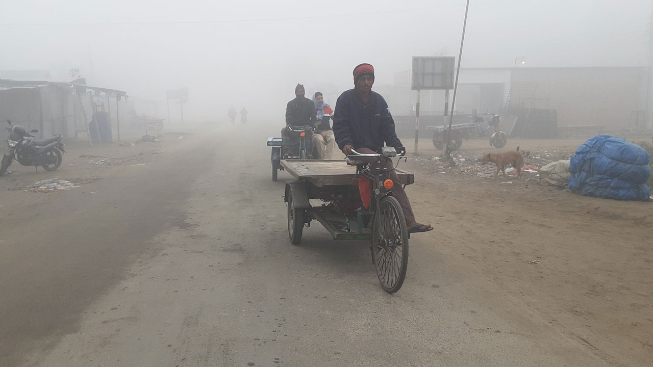 রোদ ঝলমলে সকালে হাড় কাঁপছে কনকনে শীতে