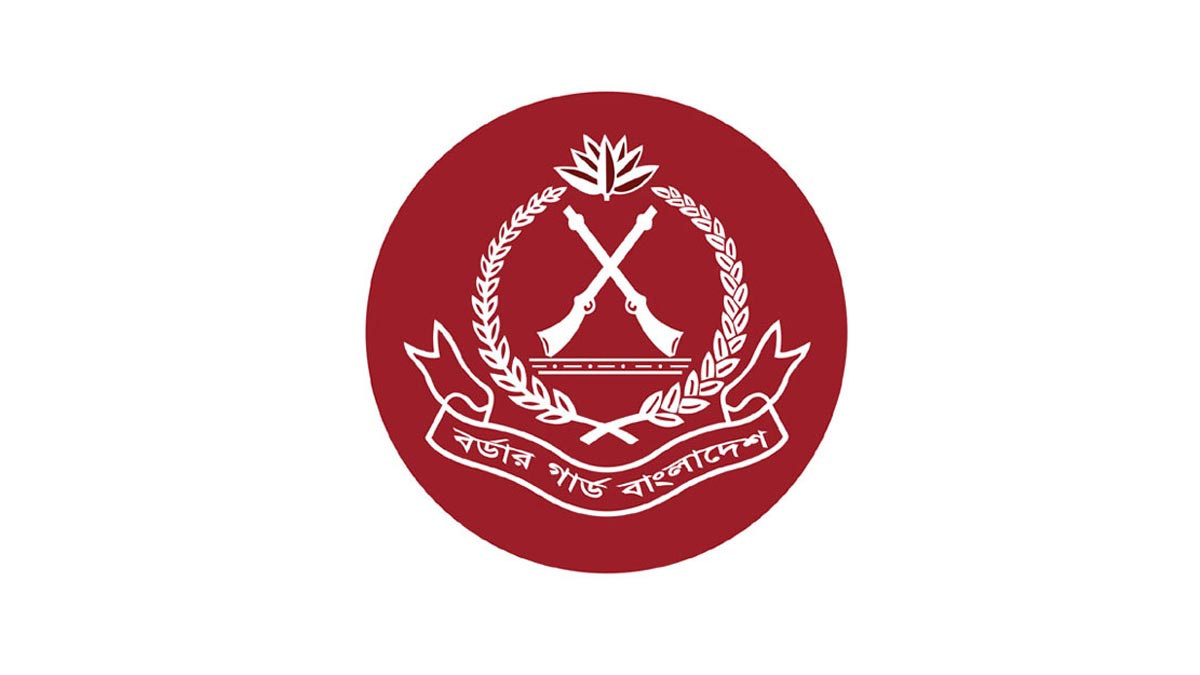 জানুয়ারিতে সীমান্তে ১৩০ কোটি ৬৩ লাখ টাকার চোরাচালান পণ্য জব্দ