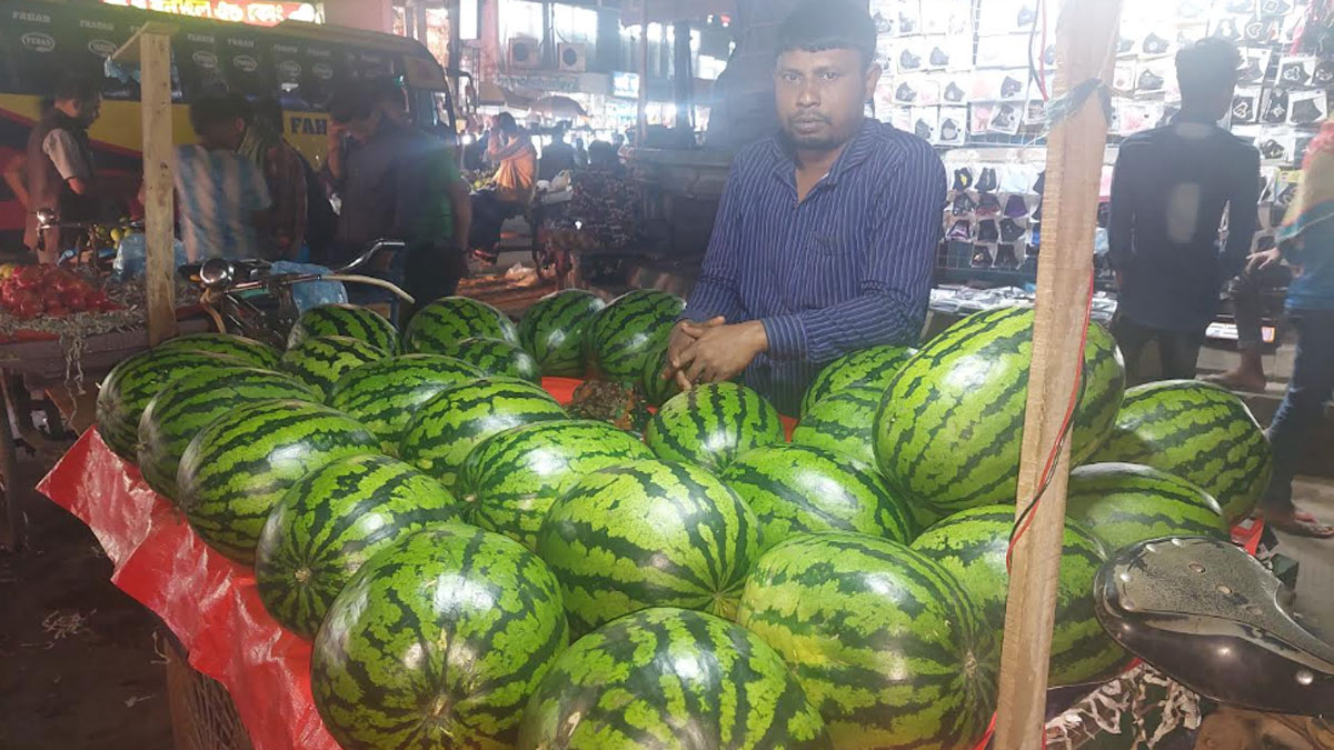 ৭০ টাকা কেজিতে মিলছে আগাম তরমুজ