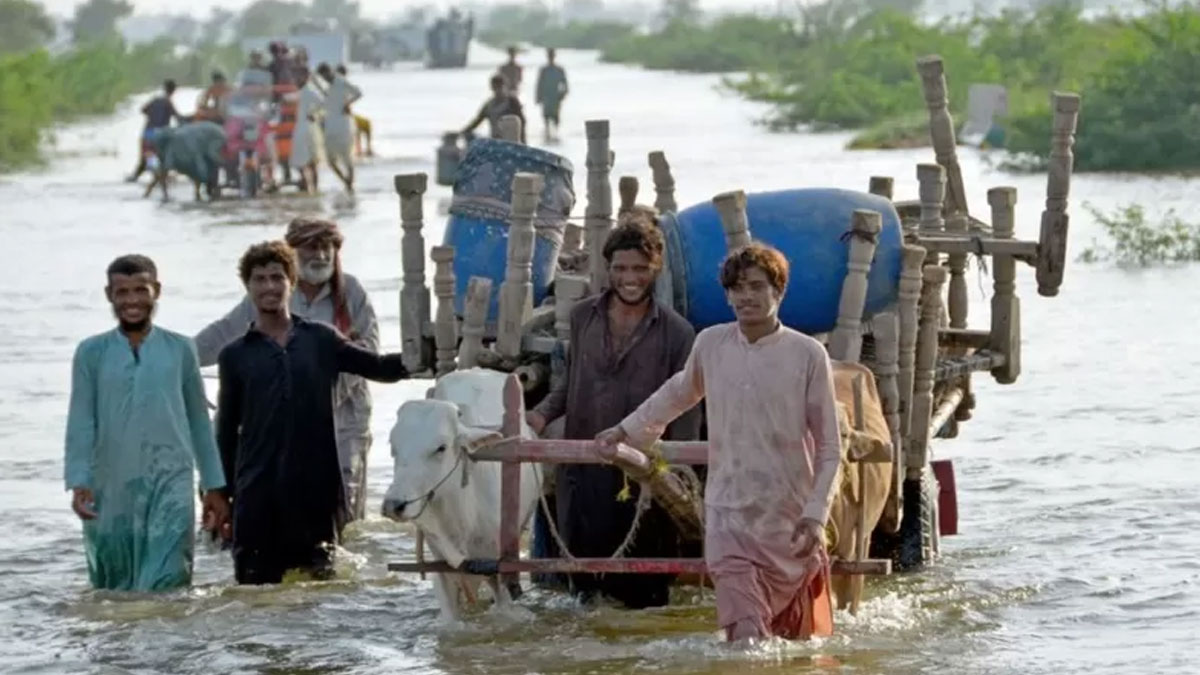 বন্যার ক্ষতি মোকাবিলায় পাকিস্তানের ১৬ বিলিয়ন ডলার প্রয়োজন