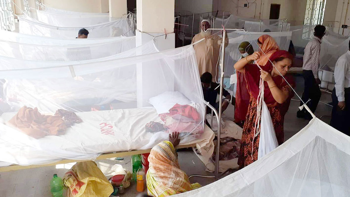 ডেঙ্গু আক্রান্ত হয়ে ১৪ জন হাসপাতালে