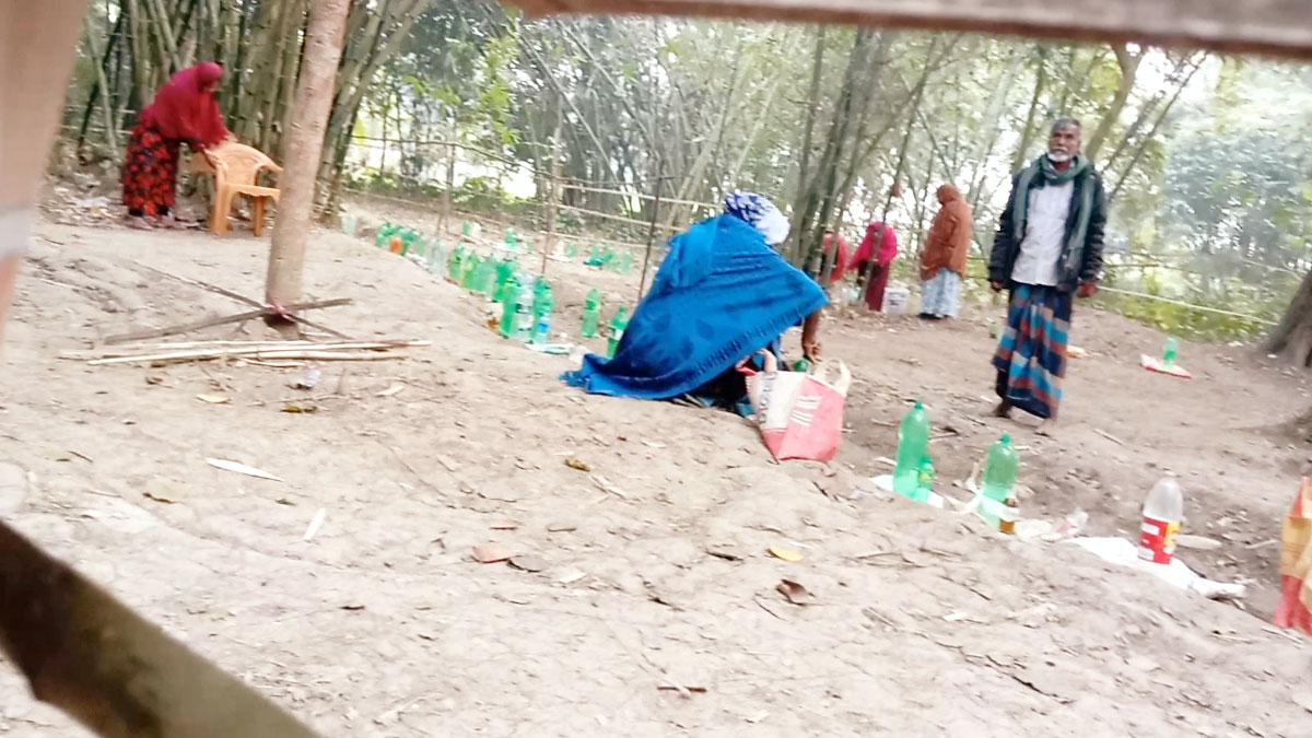 সেই বাঁশঝাড়ে সকল কার্যক্রম বন্ধ করে দিল প্রশাসন