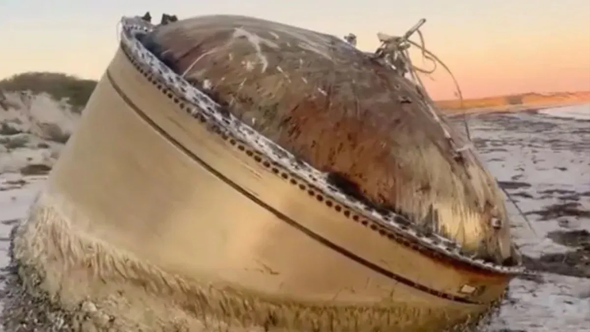 সৈকতে ভেসে আসা দৈত্যাকার বস্তুটি কী?