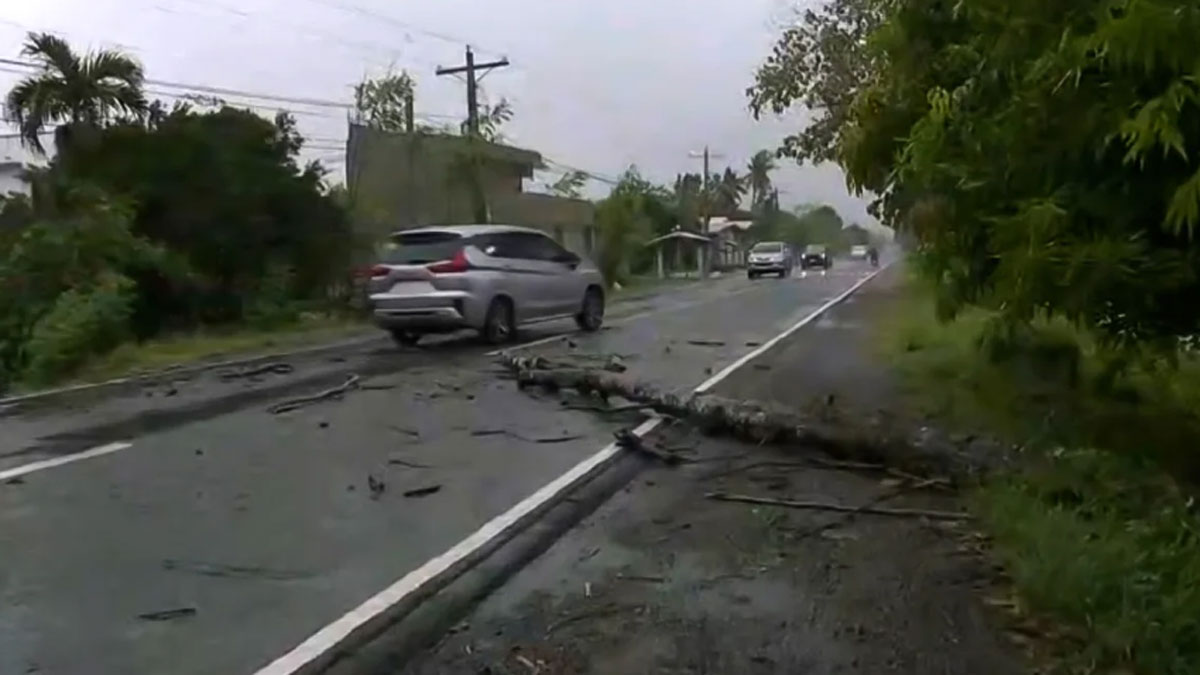 ফিলিপাইনে টাইফুনের আঘাত, বাতাসের গতি ২২০ কিমি