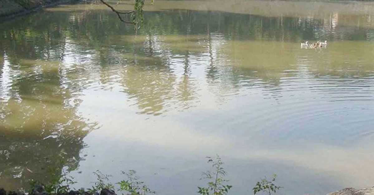 ডোবার পানিতে প্রাণ গেল চাচাতো ভাই-বোনের