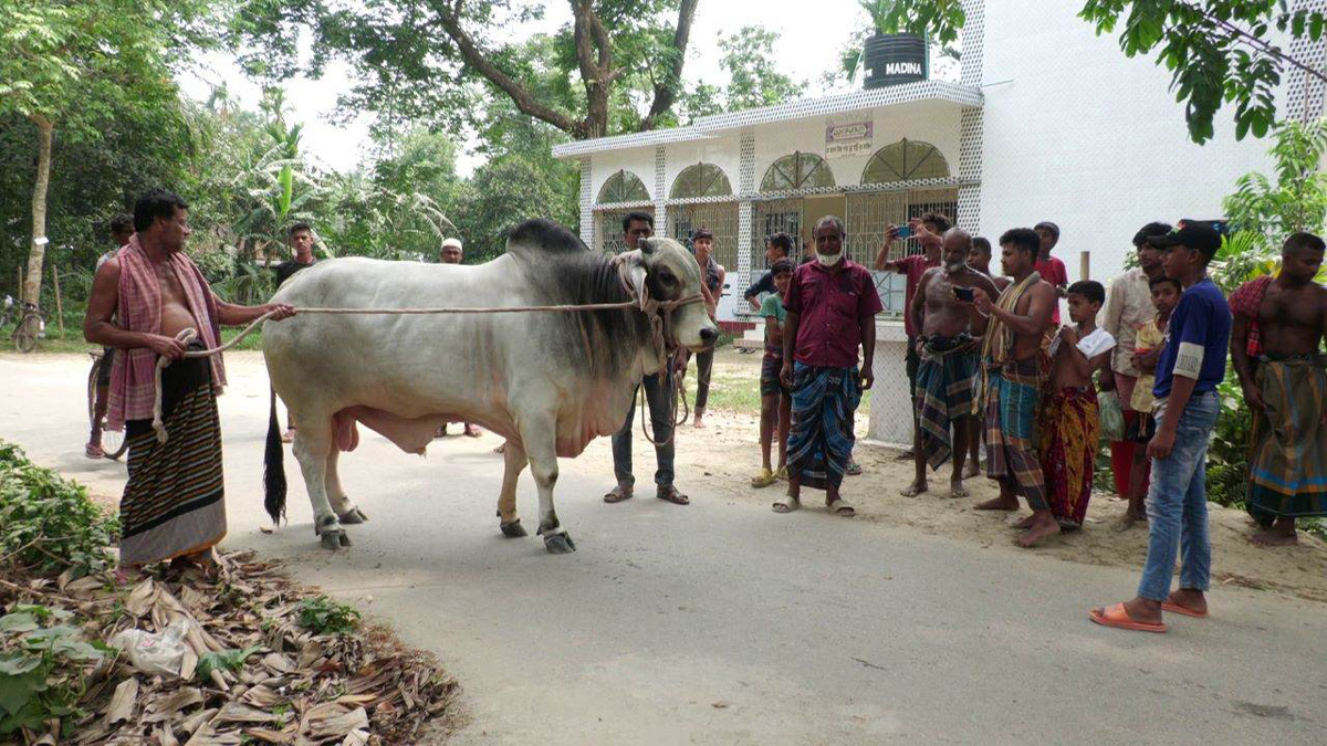 dhakapost