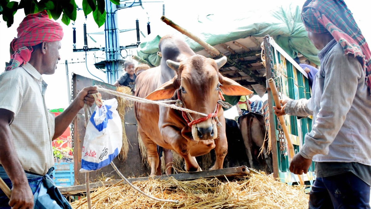 চট্টগ্রামে বিক্রি কম, দরদামেই ব্যস্ত ক্রেতারা