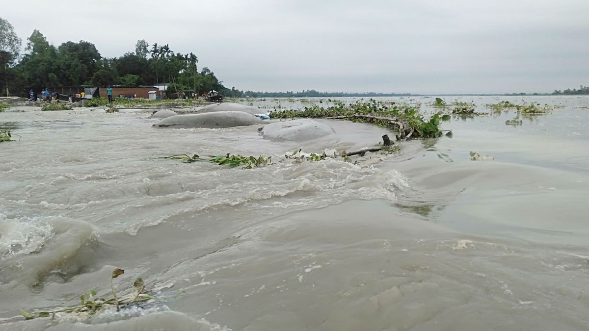 কুড়িগ্রামে ভেঙে গেছে বন্যা নিয়ন্ত্রণ বাঁধ, লোকালয়ে ঢুকছে পানি