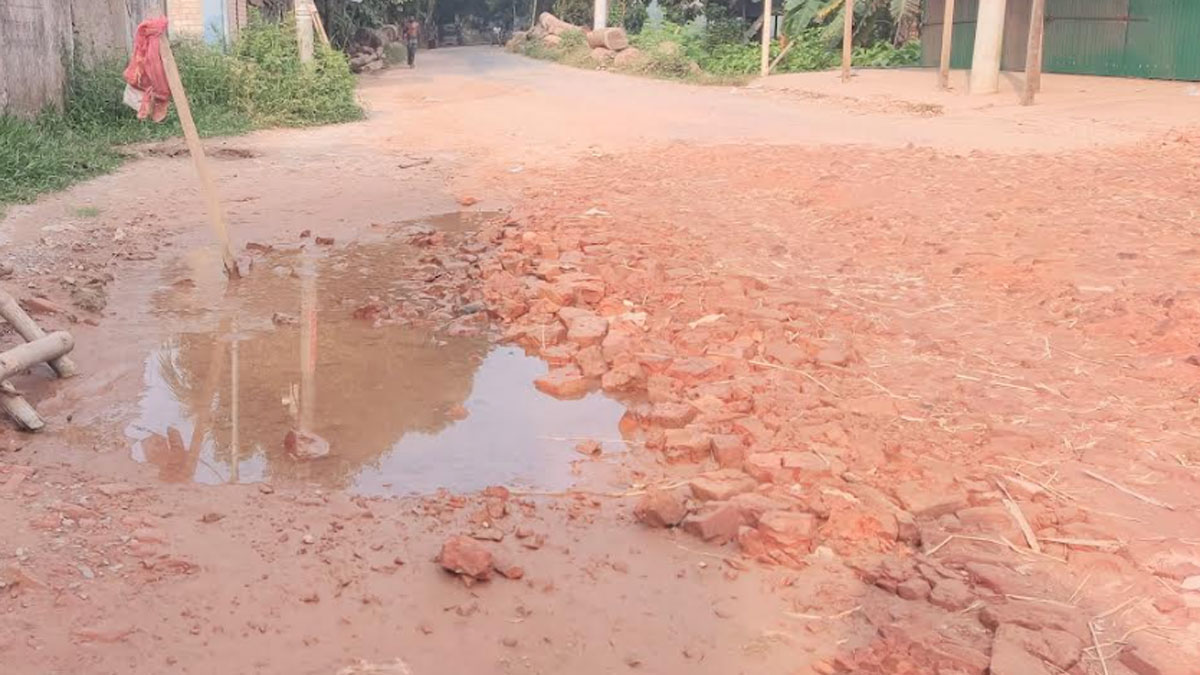 ফরিদপুরে আঞ্চলিক সড়কের বেহাল দশা, যাত্রীদের চরম ভোগান্তি