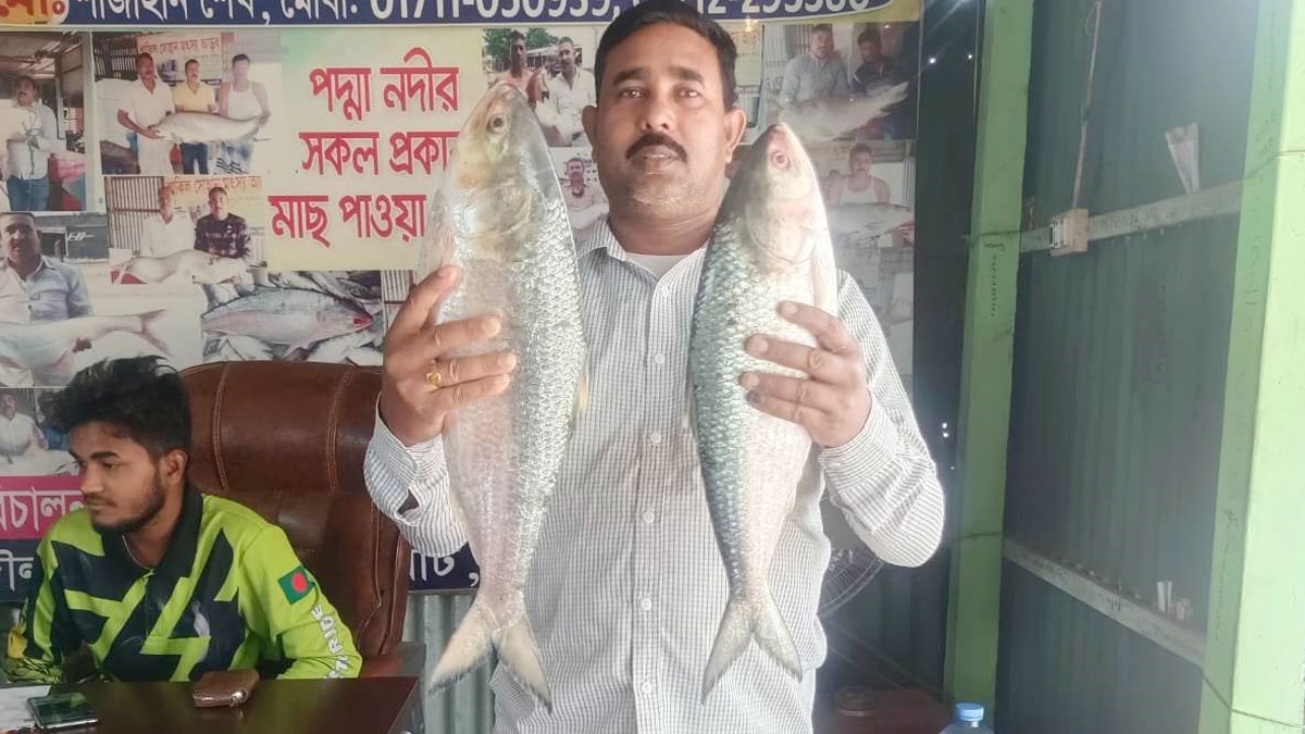 পদ্মার দুই ইলিশ ১৬ হাজার টাকায় বিক্রি