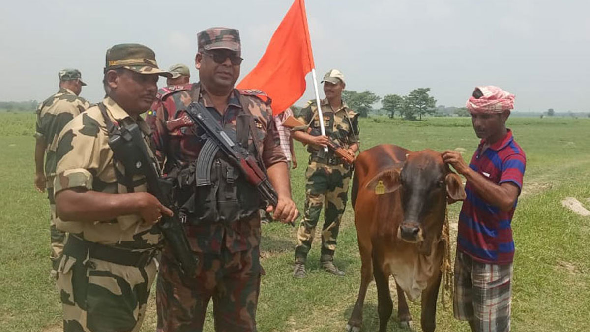 ভারতের মুন্নি চলে এলো বাংলাদেশে!