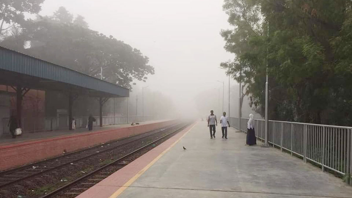 চুয়াডাঙ্গায় হঠাৎ কুয়াশা, যা বলছে আবহাওয়া অফিস