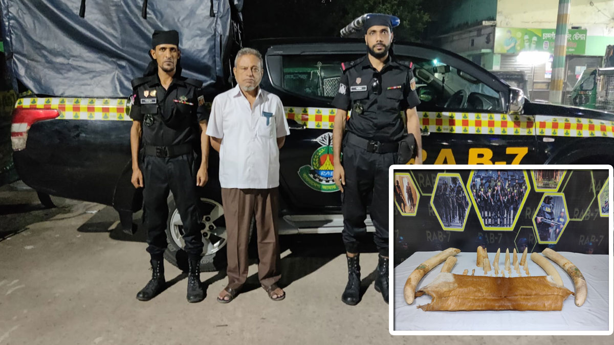 চট্টগ্রামে ১৪ কেজি হাতির দাঁতসহ আটক ১
