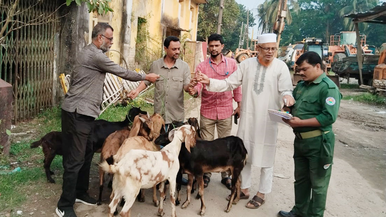 এক বছর পর কারাগার থেকে খামারে ফিরল ৯ ছাগল