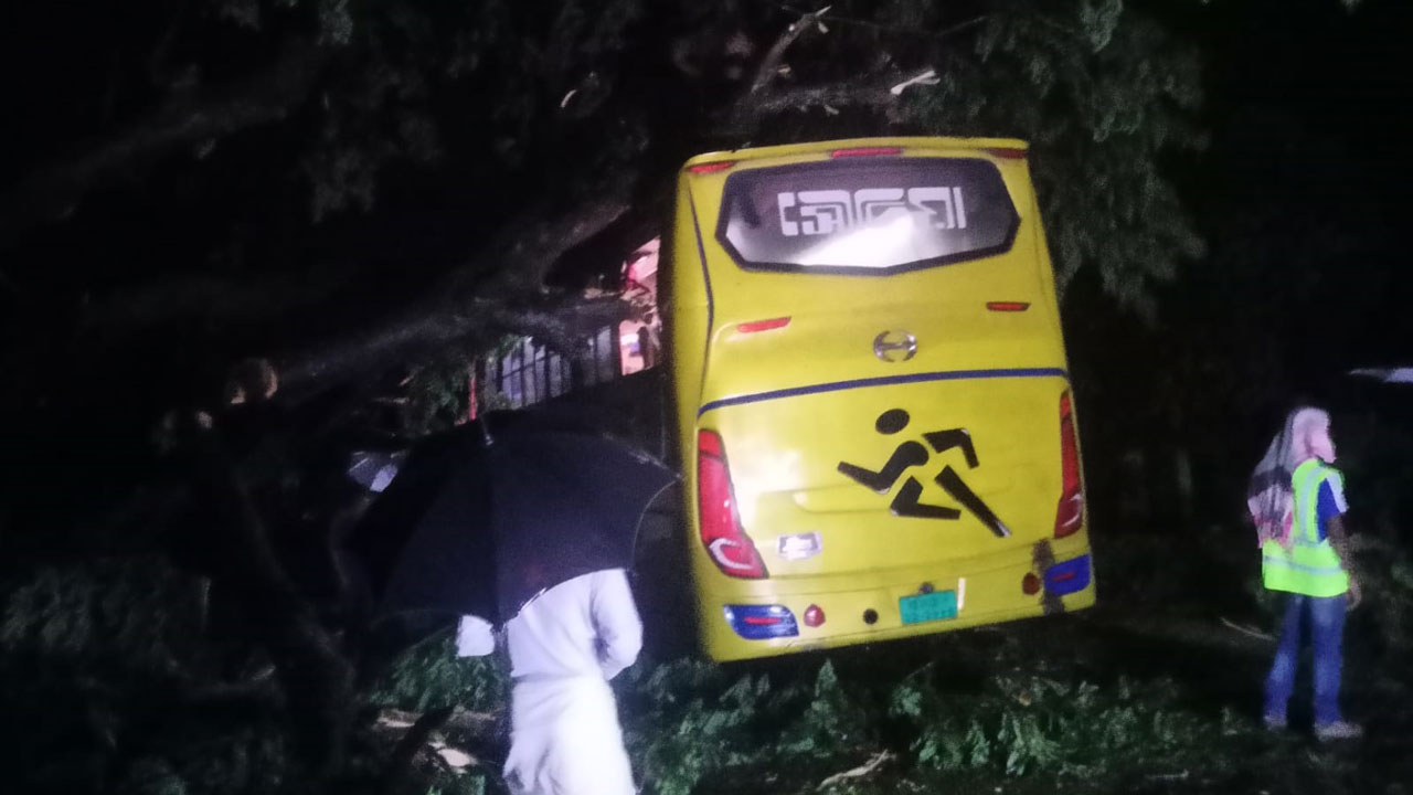 গাছ পড়ে চট্টগ্রাম-কক্সবাজার সড়কে যান চলাচল বন্ধ