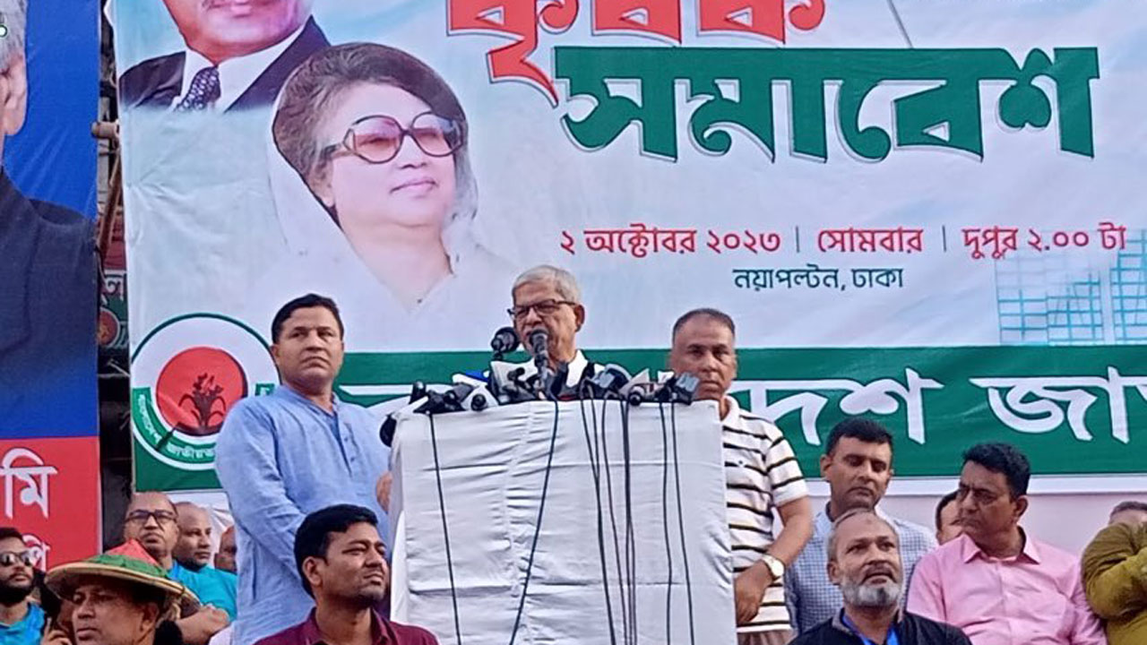 পিটার হাসকে নিয়ে সরকার রেগেছে : বিএনপি