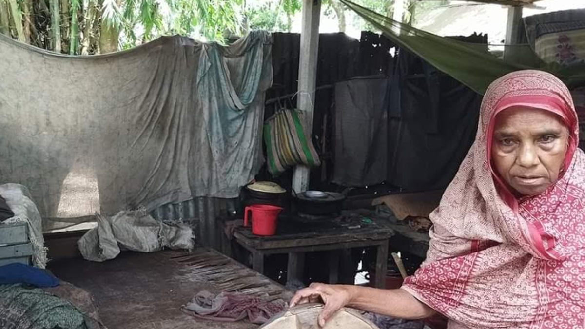খুঁটির সঙ্গে শাড়ি দিয়ে ঘেরা ঘরে দুই নাতিসহ হামিদার বসবাস