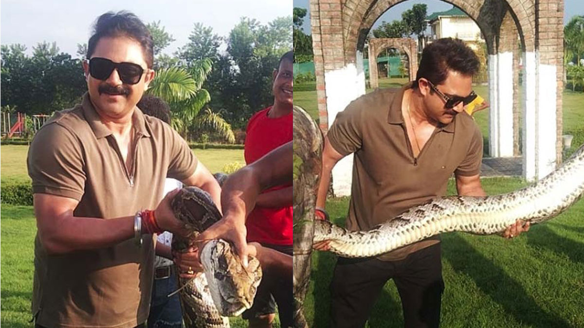 শুটিং সেটে ঢুকে পড়ল অজগর