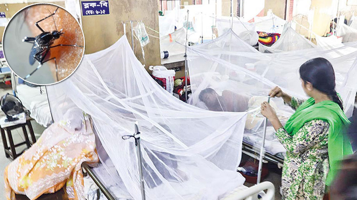ডেঙ্গুতে মৃত্যু ৯০০ ছাড়াল, হাসপাতালে ৩০০৮