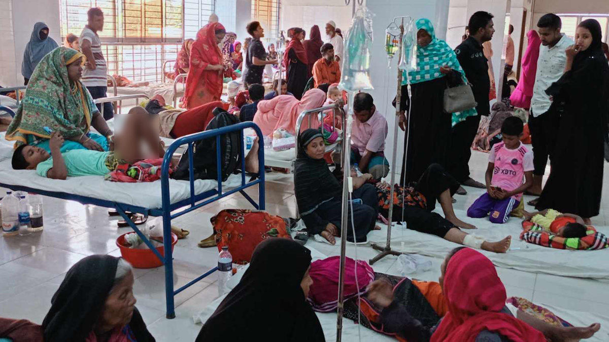 মাদারীপুরে কুকুরের কামড়ে আহত ৩০