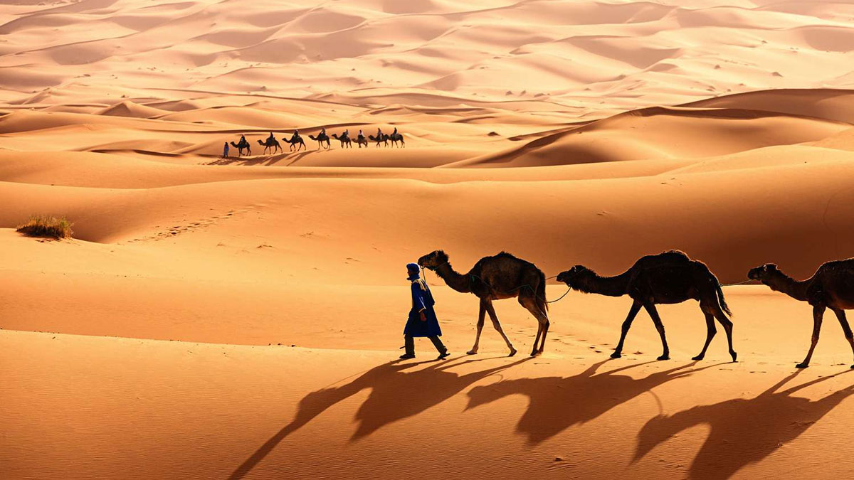 আফ্রিকার মরুভূমির নিচে পানির বিশাল ভান্ডার