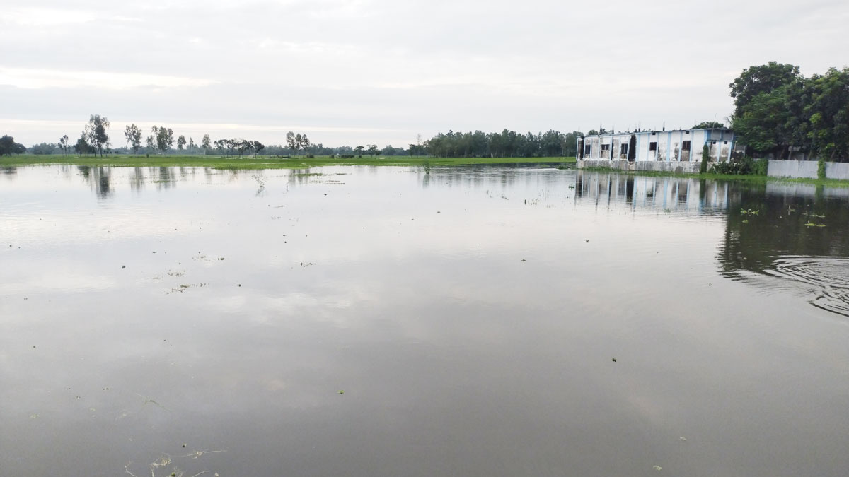 অতিবৃষ্টিতে তলিয়ে গেছে ফসলের মাঠ