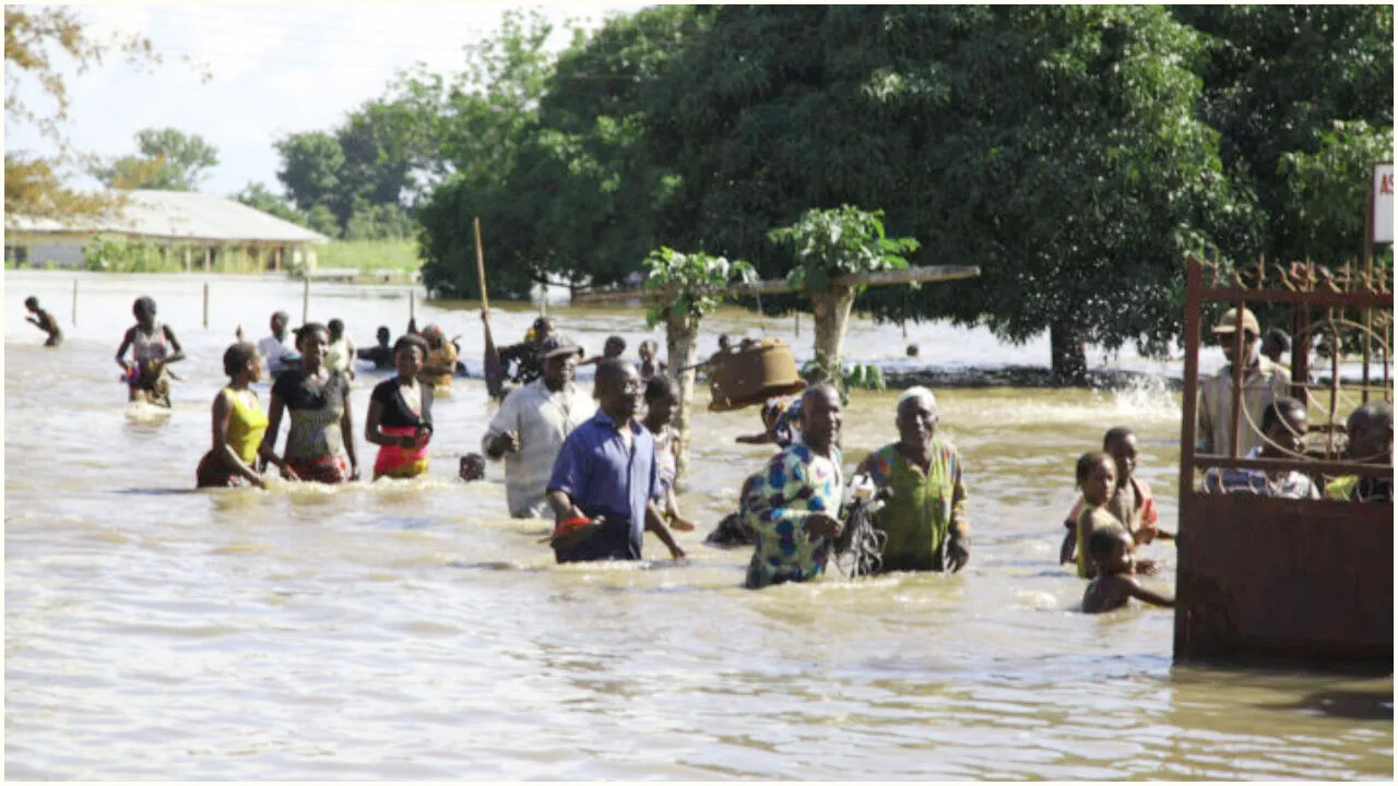নাইজেরিয়ায় বন্যায় নিহত অন্তত ৪৫