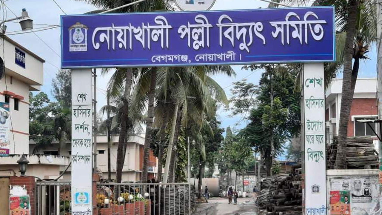 বন্যাকবলিত এলাকায় বিদ্যুৎ সংযোগ দিতে গিয়ে ২ লাইনম্যানের মৃত্যু