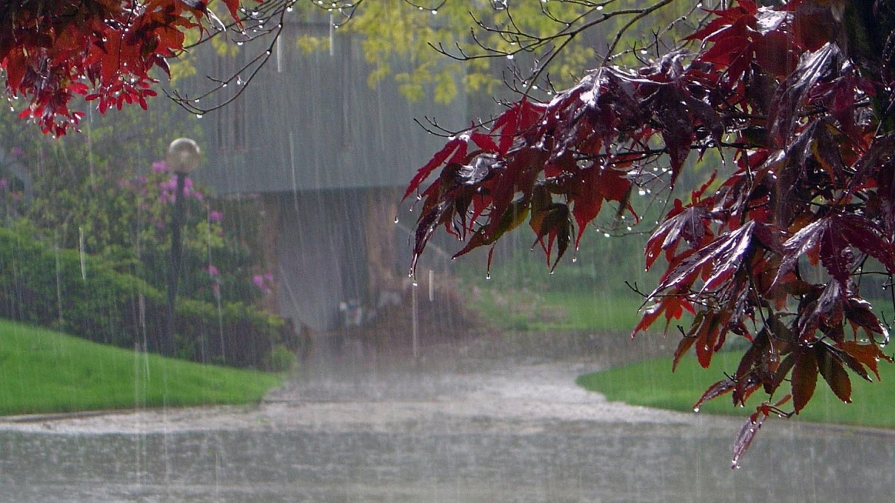 তিন বিভাগে ভারী বৃষ্টির আভাস