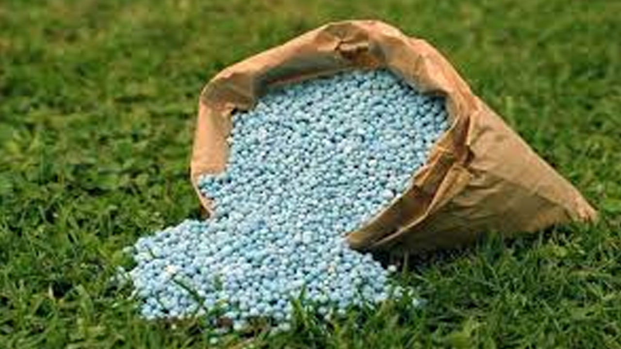 তিন দেশ থেকে আসবে ৬৬১ কোটি টাকার সার