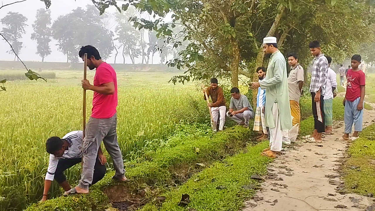 জামালপুরে বজ্রপাত থেকে রক্ষায় সাড়ে ৪ হাজার তালবীজ রোপণ
