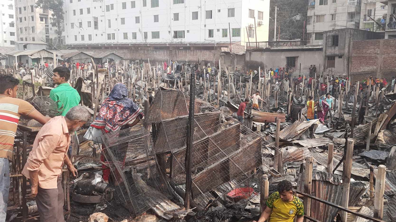 আগুনে পুড়ে ছাই মাথা গোঁজার শেষ সম্বল