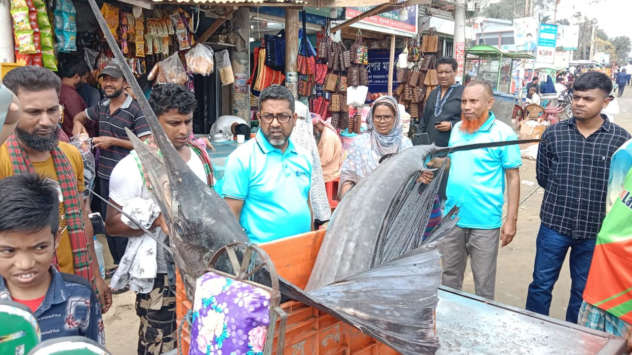 সাগরে জেলের জালে ধরা পড়ল ৪০ কেজির সেইল ফিশ