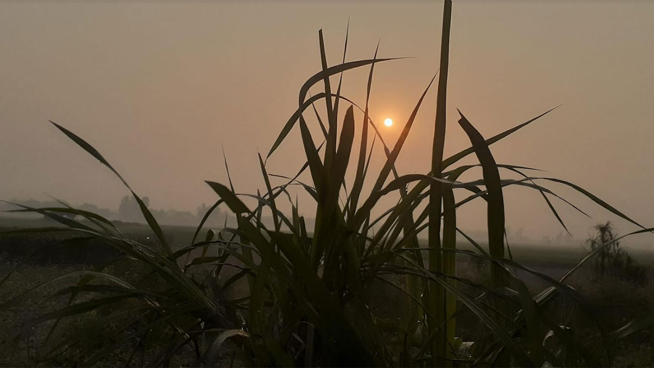পঞ্চগড়ে কমেছে শীত
