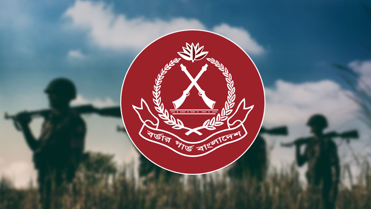 ডিসেম্বরে বিজিবির অভিযানে ২৬৬ কোটি টাকার চোরাচালান পণ্য জব্দ