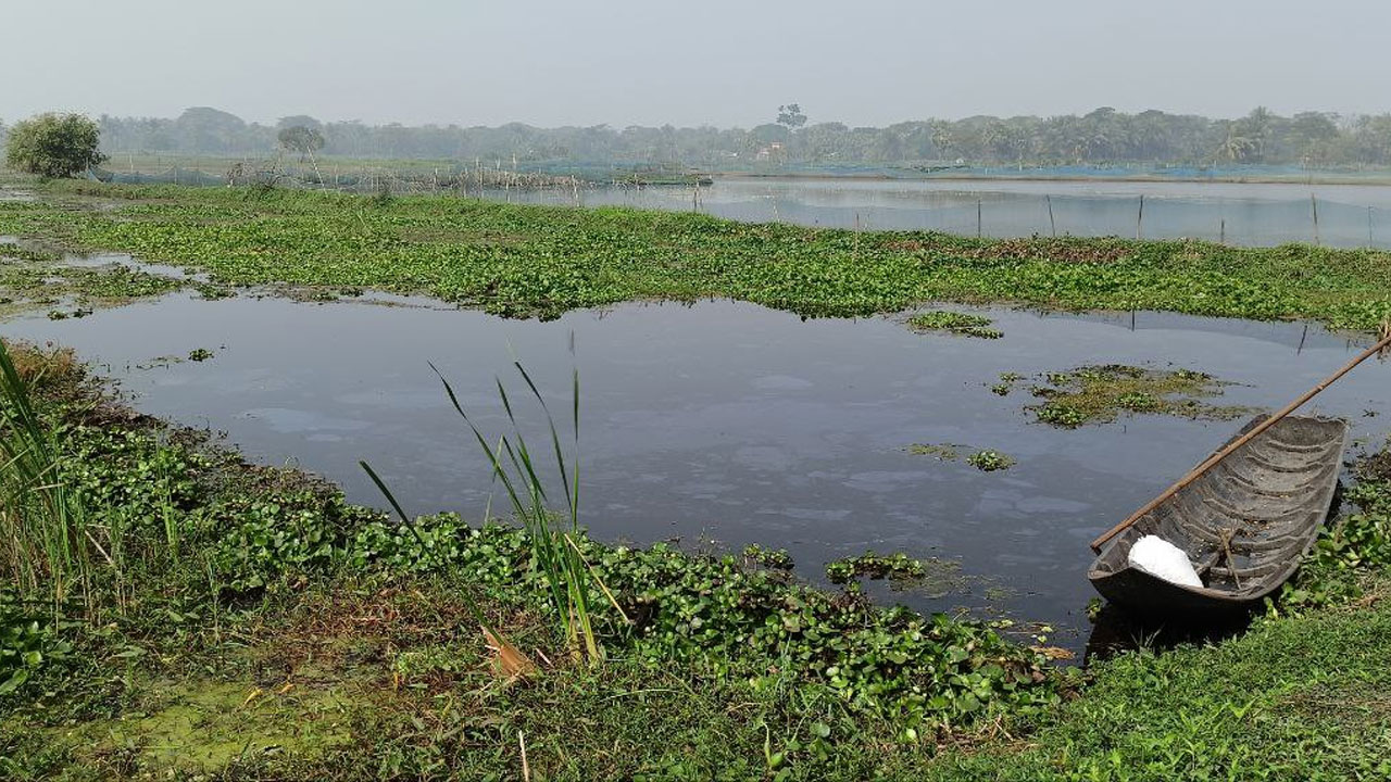 বিল ডাকাতিয়ার জলাবদ্ধতায় দিশেহারা কৃষক