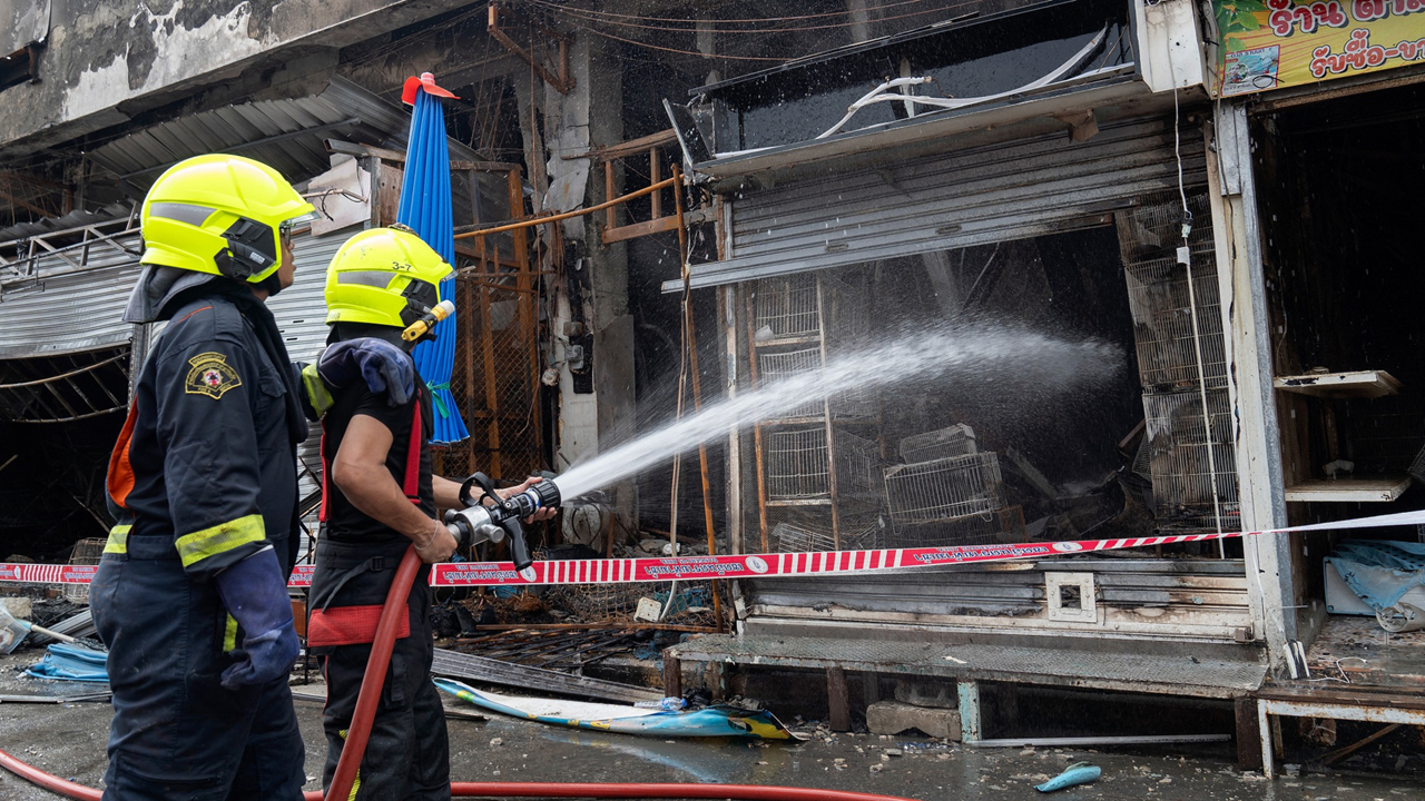 আগুনে পুড়ে কুকুরসহ খাঁচাবন্দি কয়েকশ পশুপাখির মৃত্যু
