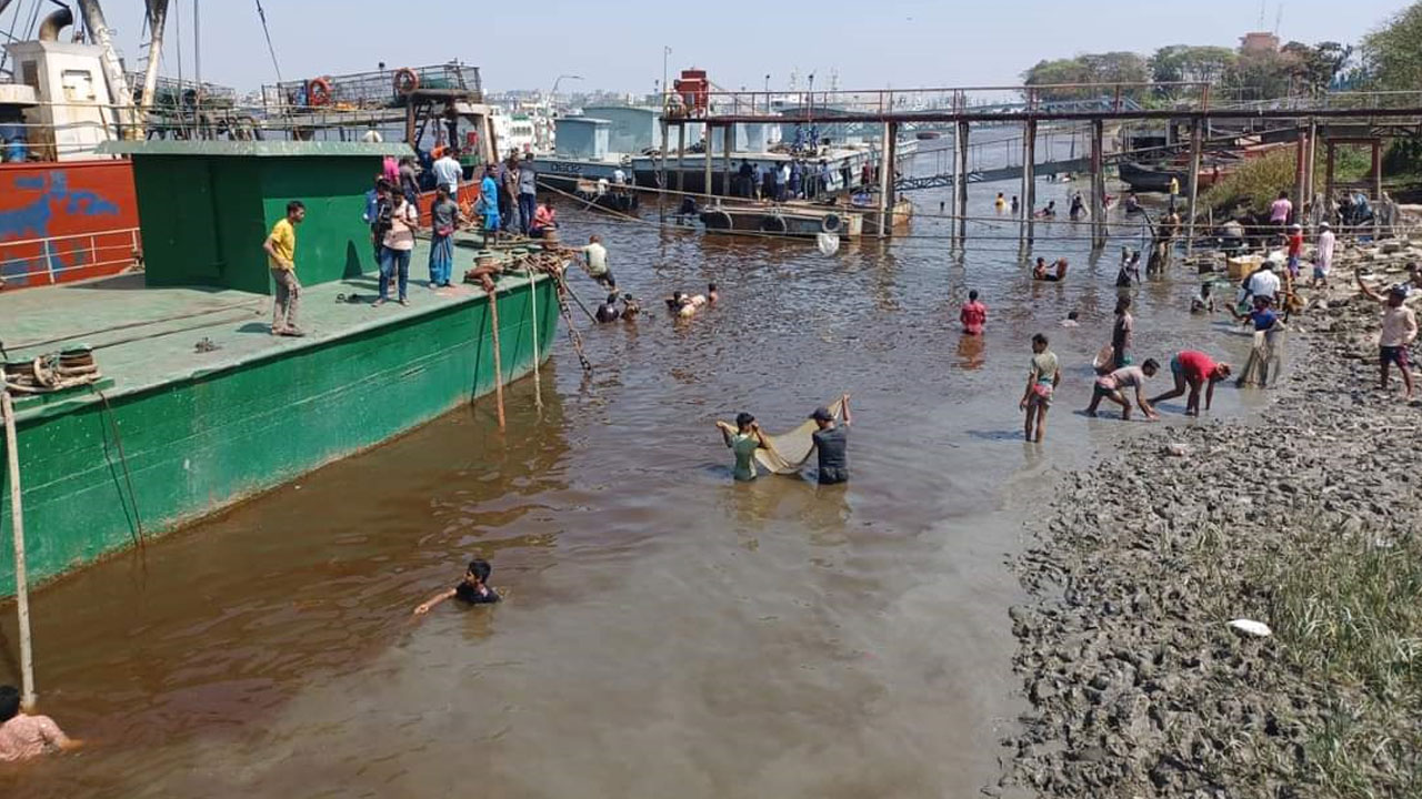 পোড়া চিনি-কেমিক্যাল পড়ছে কর্ণফুলীতে, ভেসে উঠছে মরা মাছ