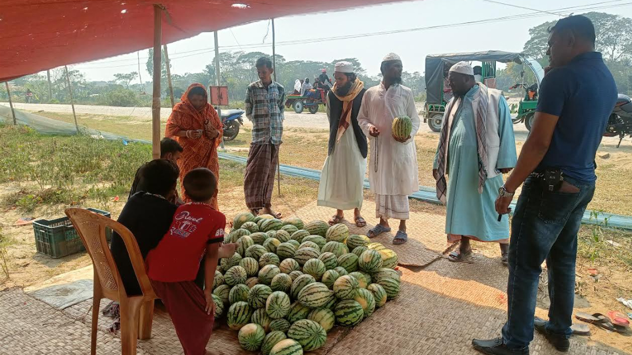 কুয়াকাটার বাজারে আগাম তরমুজ, বিক্রি হচ্ছে ক্ষেত থেকেই
